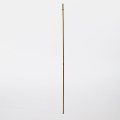 Profilé de finition bois Neva 180 x 4 cm, ép.21 mm