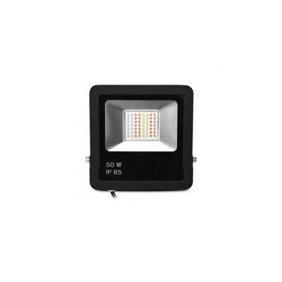 Projecteur Extérieur LED AC220/240V 50W 110 étanche IP65 200mmx36mm Noir - RGB