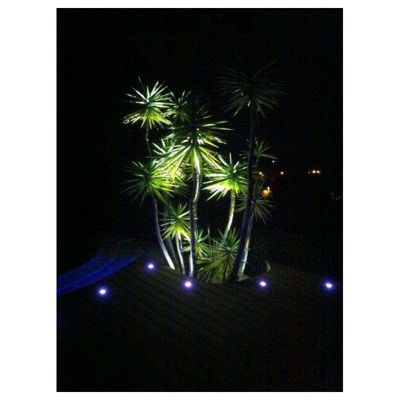 Projecteur LED 5W étanche IP68 - Blanc du Jour 7000K DC12V