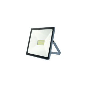 Projecteur LED INDUS 30W IP65 6000K