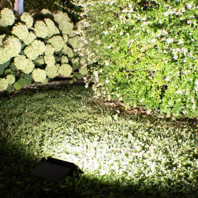 Projecteur Solaire 800LM à Détection de Mouvement - Pour Jardin, Allée, Terrasse - Groupe DDC