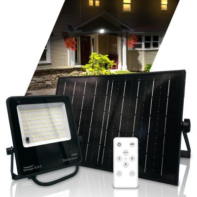 Projecteur Solaire avec Détecteur de Mouvement IP65 2200lm - Groupe DDC