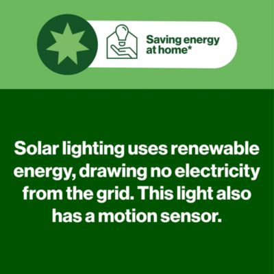 Projecteur solaire LED intégré à détection Davern 400lm IP65 noir GoodHome