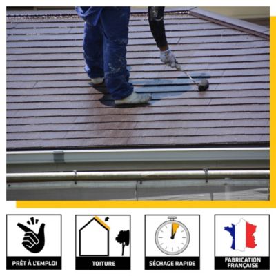 Protecteur Toiture Color Sikagard-224 ardoise 10L Sika