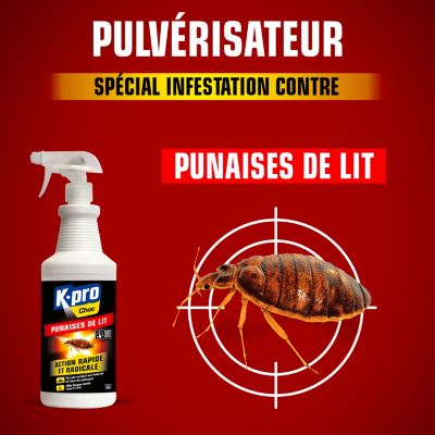 ACTO Pulvérisateur Spécial Punaises De Lit - Insecticide Prêt à L'Emploi Double Action PUNAIS3