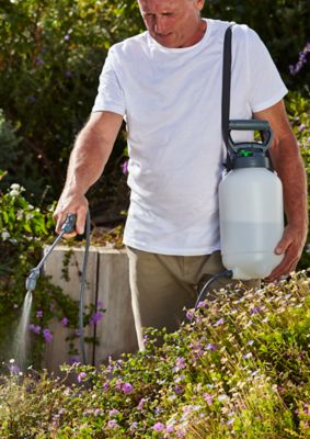 Pulvérisateur avec pompe à main Verve 5L