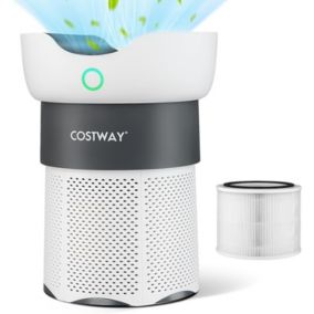 Purificateur Air Véritable Filtre à Air H13 HEPA Nettoyeur avec Capteur de Qualité de Air et Mode Veille
