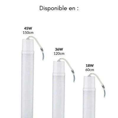Réglette LED étanche 60cm 18W IP65 - Blanc Froid 6000K - 8000K - SILAMP