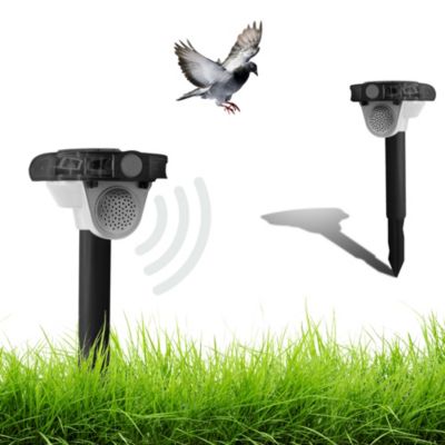 Répulsif Solaire FISHTEC Chasse Oiseaux avec sons et flash LED extérieur - 115 dB
