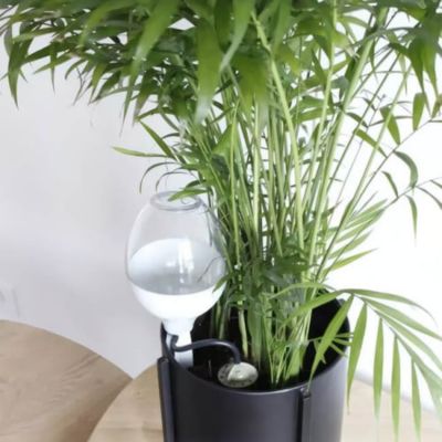 Réserve décorative 70cl Iriso, Couleur Gris