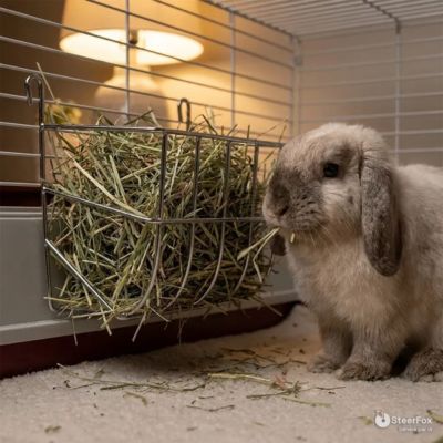 Râtelier à foin galvanisé 30 cm pour lapins OLBA