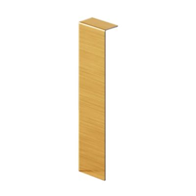 Raccord FCI pour plinthe FC en acier inoxydable 60 mm x 20 mm x 10 mm - or brossé