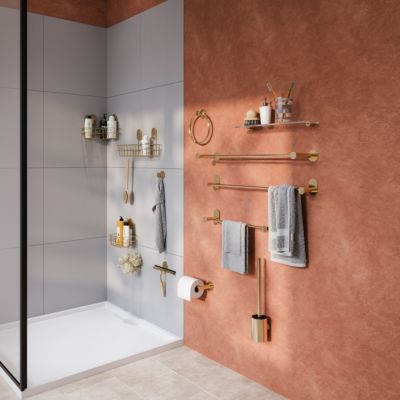 Raclette de douche + support or Cavally GoodHome