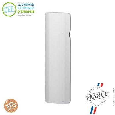 Radiateur bloc fonte INTUIS - Dook connecté - Vertical - 2000W - Blanc - NEN3377TCEC