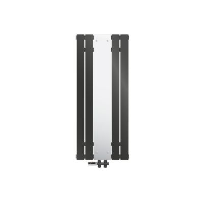 Radiateur de Salle de Bain avec Miroir, 1200x450 mm, Anthracite, Connexion Centrale au Bas