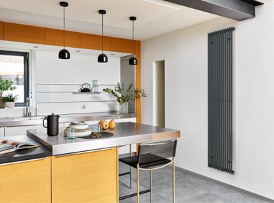 Radiateur eau chaude Acova Filin vertical anthracite 1008W