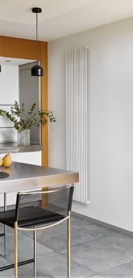 Radiateur eau chaude Acova Filin vertical blanc 1008W