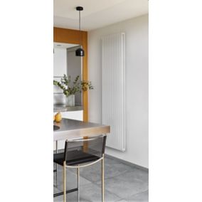 Radiateur eau chaude Acova Filin vertical double blanc 1972W