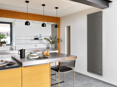 Radiateur eau chaude Acova Filin vertical double grey aluminium 1972W