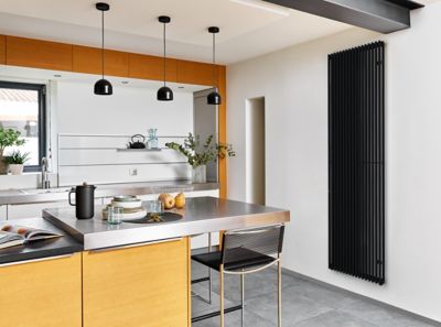 Radiateur eau chaude Acova Filin vertical double noir 1972W
