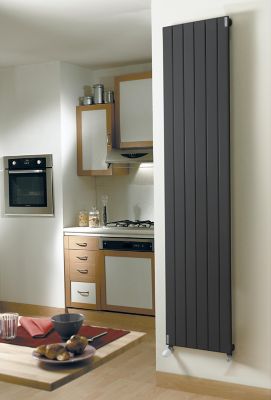 Radiateur eau chaude Acova Lina vertical anthracite 942W