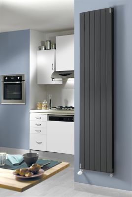 Radiateur eau chaude Acova Lina vertical double anthracite 1386W