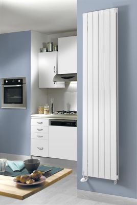 Radiateur eau chaude Acova Lina vertical double blanc 1386W