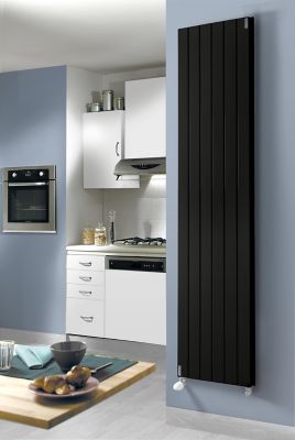 Radiateur eau chaude Acova Lina vertical double noir 1386W