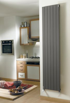 Radiateur eau chaude Acova Lina vertical grey aluminium 942W