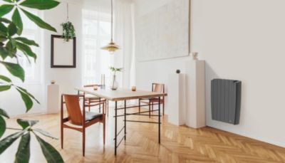 Radiateur électrique 1000W à inertie fluide noir, Delonghi Dolce Plus