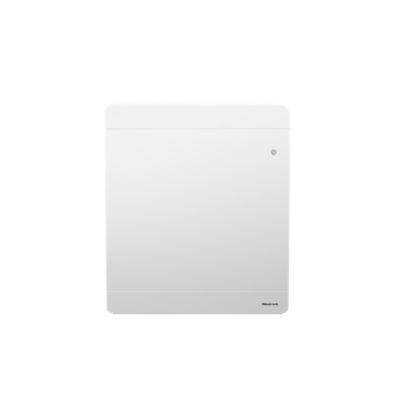 Radiateur électrique à inertie sèche 1000W - Noirot Walter