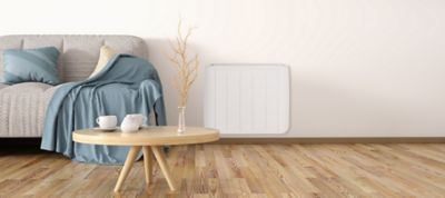 Radiateur électrique à inertie sèche Fonte Thomson Eco 2 2000W