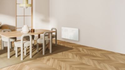 Radiateur électrique céramique Carrera Ray Klaas blanc 1500W