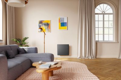 Radiateur électrique connecté 1000W double cœur de chauffe gris, Noirot Evolution