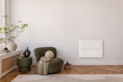 Radiateur électrique fonte à inertie 1000W Delonghi Baco