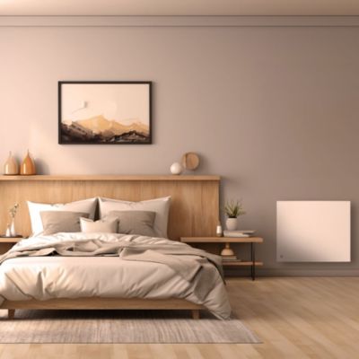 Radiateur électrique inertie fonte 1000W Bestherm Méo