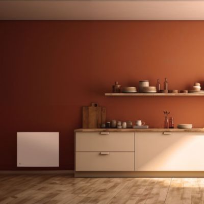 Radiateur électrique inertie fonte 1000W Bestherm Méo