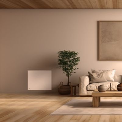 Radiateur électrique inertie fonte 1000W Bestherm Méo