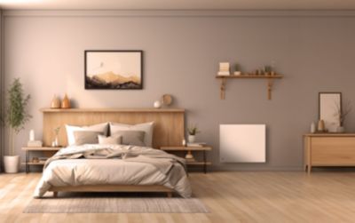 Radiateur électrique inertie fonte 1000W Bestherm Méo