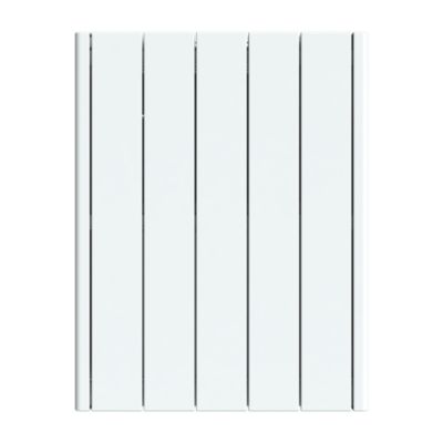 Radiateur électrique inertie sèche Carrera Jada blanc 1000W