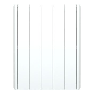 Radiateur électrique inertie sèche Carrera Jeyo blanc 1000W