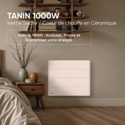 Radiateur électrique fixe à inertie sèche céramique 1000W BESTHERM TANIN horizontal blanc