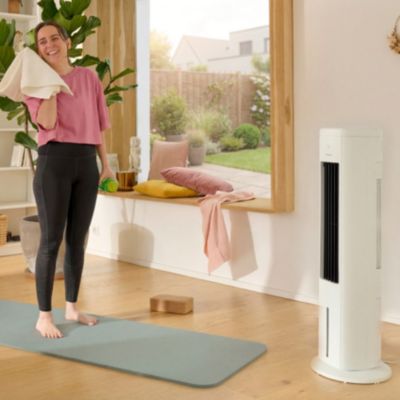 Rafraichisseur d'air 36W 5L GoodHome