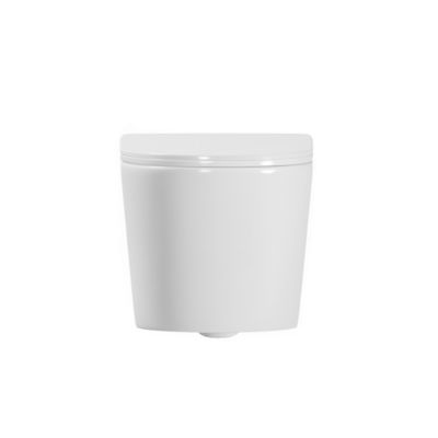 Rapid SL Pack WC bâti-support + WC suspendu sans bride avec abattant SoftClose Ceramia + plaque (GRRCE14WT01-FR)