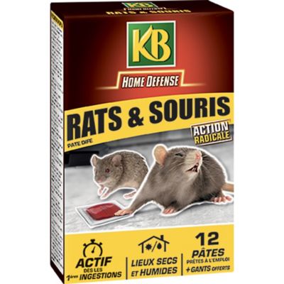 PATE ANTI-SOURIS ET RATS 10GR X15