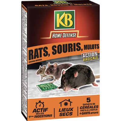 Rat Souris Et Mulot Kb Cereales 5 X 25g Castorama