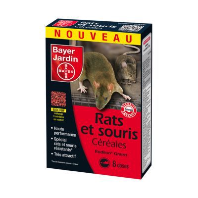 Anti rats et souris pâtes pour usage intérieur et extérieur CARREFOUR : les  10 sachets de 15 g à Prix Carrefour