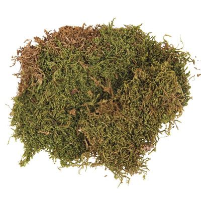 Mousse d'islande nature 1 kg - rayher - Autres accessoires de