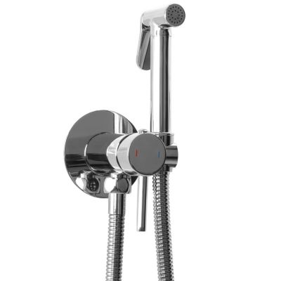 Rea Robinet Bidet Douchette Chrome Mural Monocommande