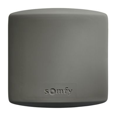 Récepteur radio Somfy 2400556 pour moteur de portails ou garages